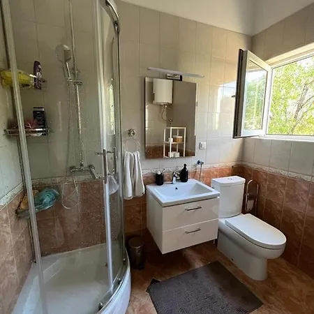Guest house Majic