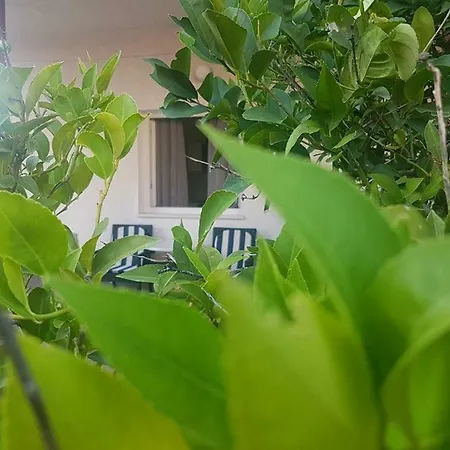 Guest house Majic