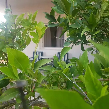 Majic Guest house *